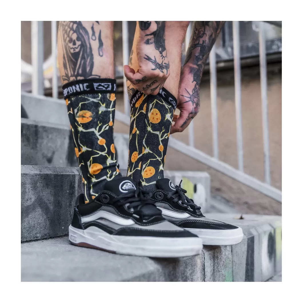 Hydroponic Calcetines | Dragon Ball Z Colabo>Calcetines DRAGON BALL Z Dragon Balls