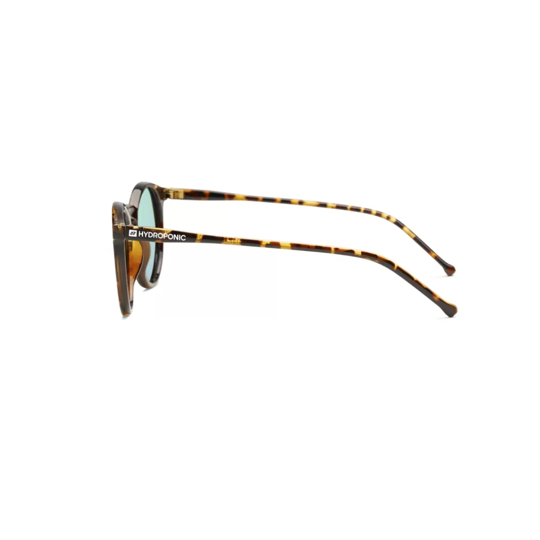Hydroponic Gafas De Sol>Gafas De Sol EW BAY Tortoise Matte + Green Mirror