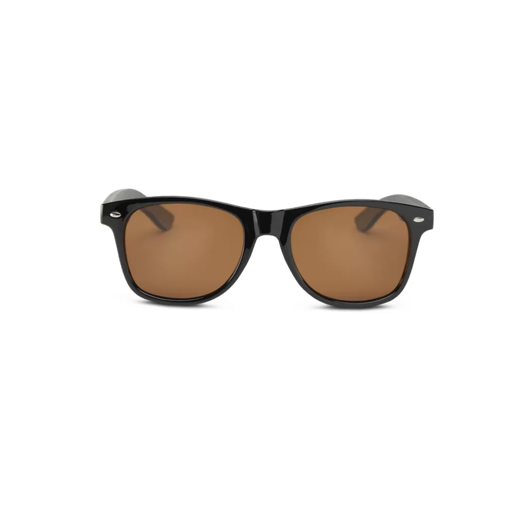 Hydroponic Gafas De Sol>Gafas De Sol EW COOPER Black + Brown