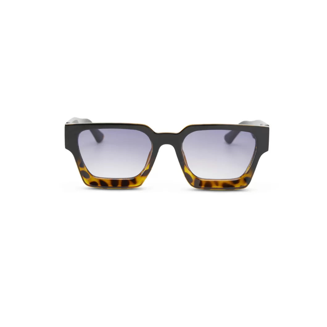Hydroponic Gafas De Sol>Gafas De Sol EW MAPLE Black To Tortoise + Gradient Black
