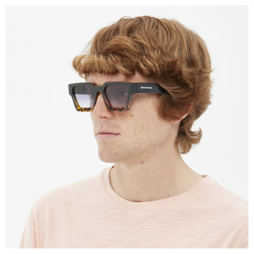 Hydroponic Gafas De Sol>Gafas De Sol EW MAPLE Black To Tortoise + Gradient Black