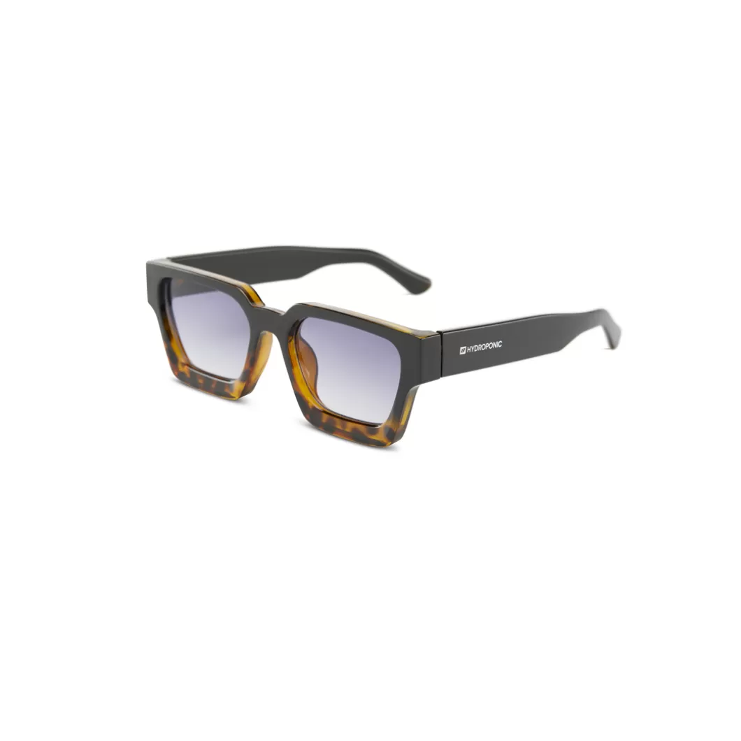 Hydroponic Gafas De Sol>Gafas De Sol EW MAPLE Black To Tortoise + Gradient Black