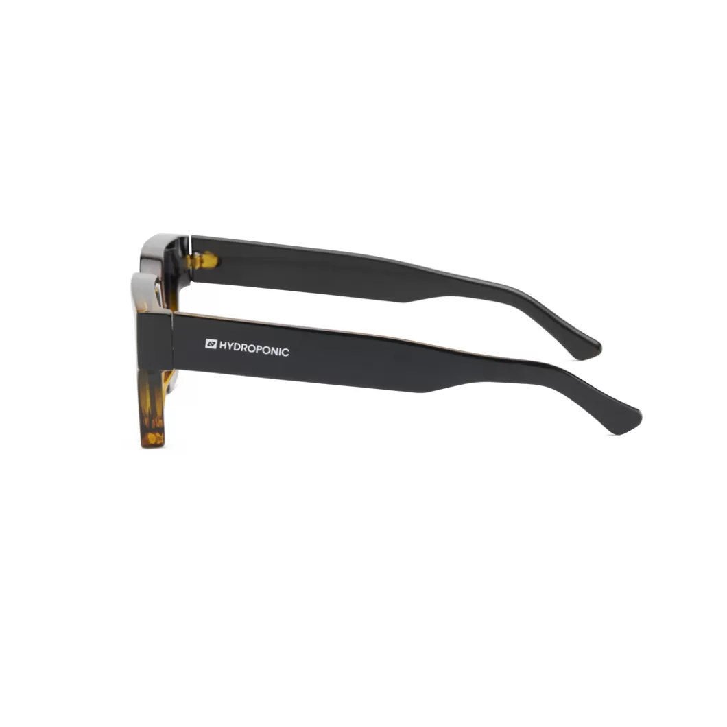 Hydroponic Gafas De Sol>Gafas De Sol EW MAPLE Black To Tortoise + Gradient Black