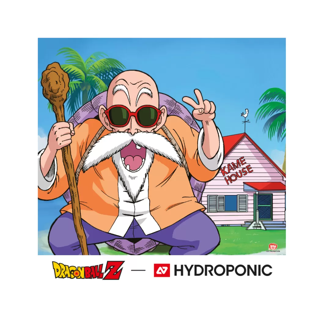 Hydroponic Llaveros/Colgantes | Dragon Ball Z Colabo>Llavero HANGER DRAGON BALL Z Shenron