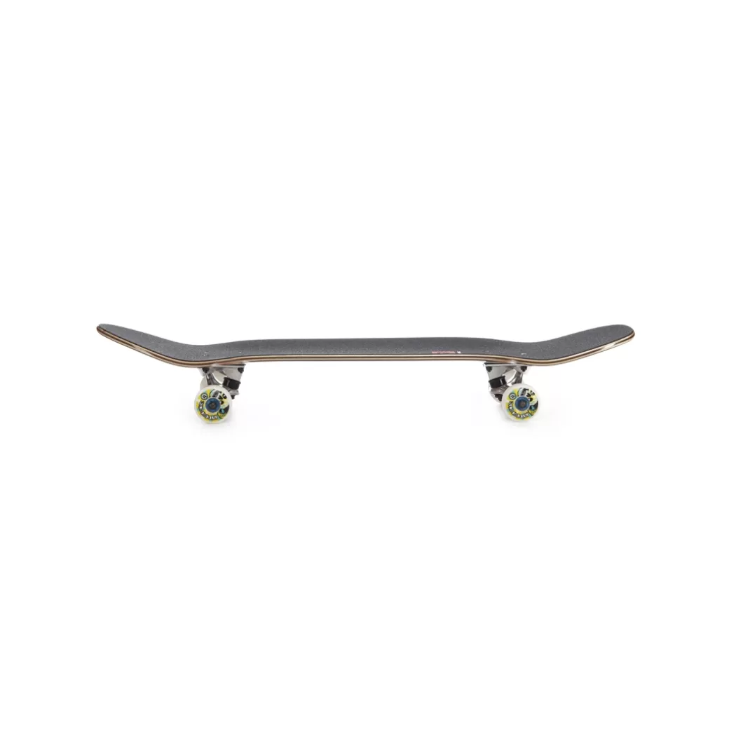 Hydroponic Medida Pool Shape>Skate Completo POOL Freddy Pool Shape
