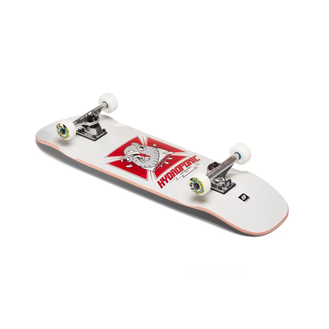 Hydroponic Medida Pool Shape>Skate Completo POOL Tony Pool Shape