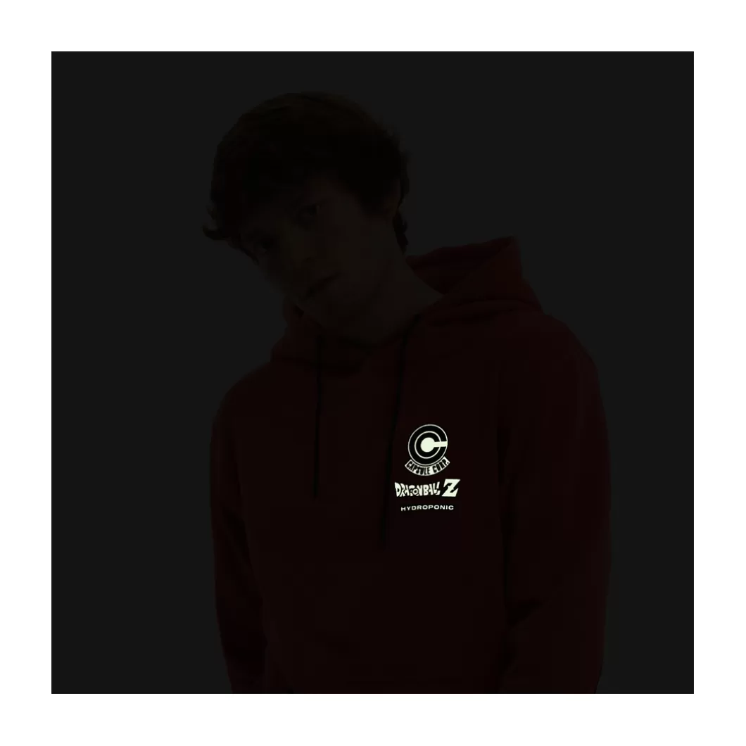 Hydroponic Sudaderas Con Capucha Dh Niño | Sudaderas Con Capucha Niño>Sudadera Con Capucha Niño DRAGON BALL Z DH TRUNKS Terracota