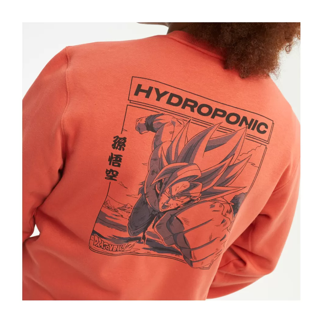 Hydroponic Dragon Ball Z Colabo | Sudaderas Sin Capucha>Sudadera Sin Capucha DRAGON BALL Z COMIC Terracota