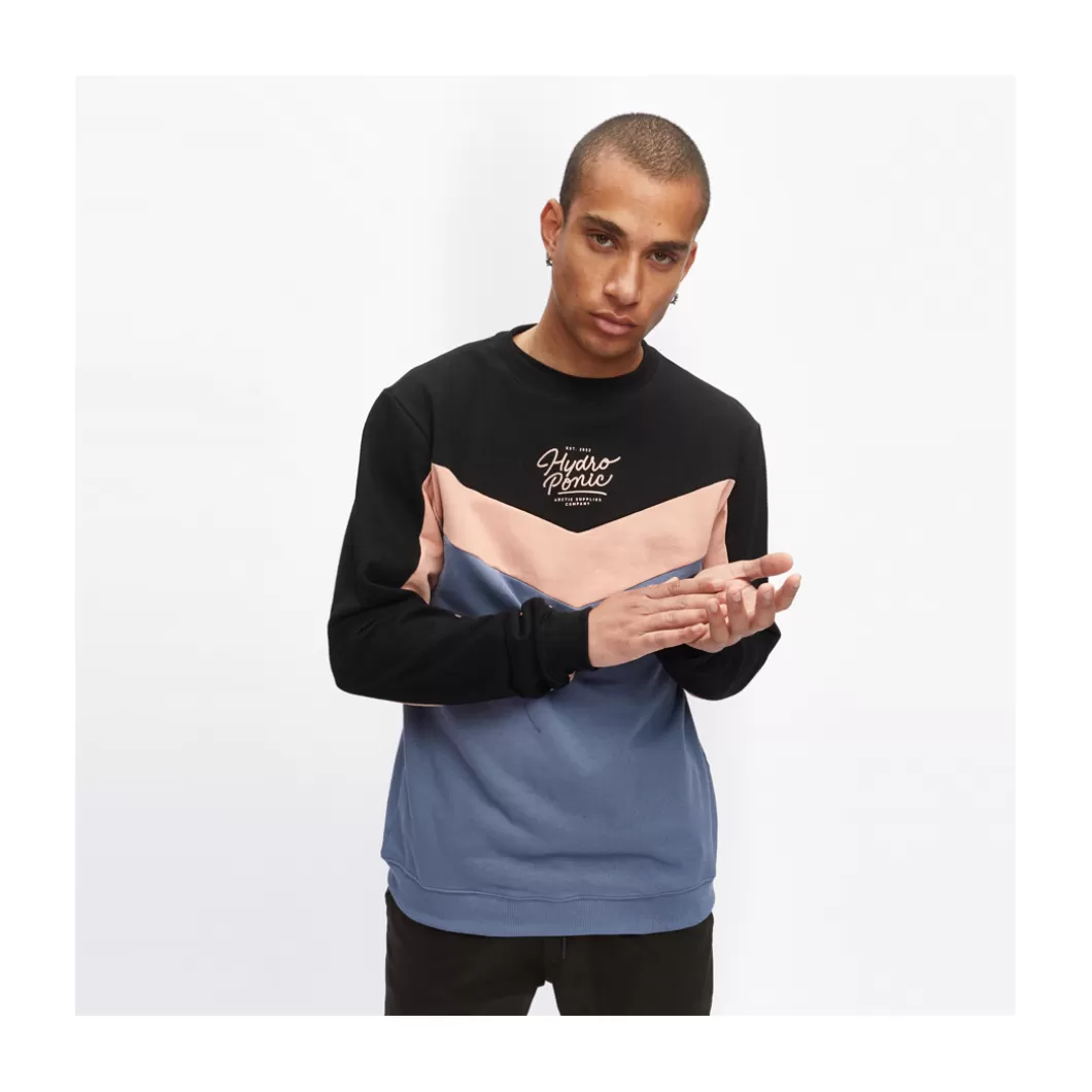 Hydroponic Sudaderas Sin Capucha>Sudadera Sin Capucha MOJAVE Violet / Salmon / Blue