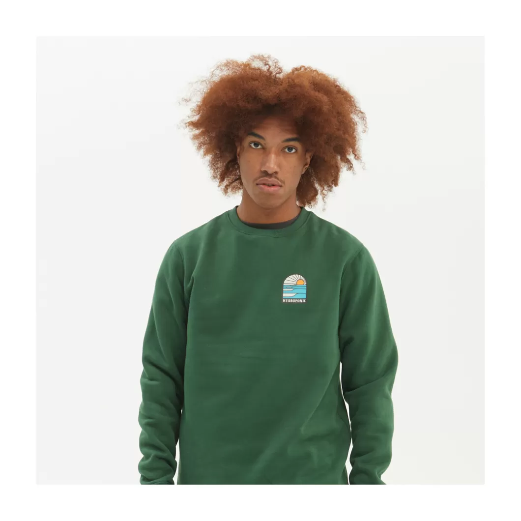 Hydroponic Sudaderas Sin Capucha Niño>Sudadera Sin Capucha Niño SHORES Dark Green
